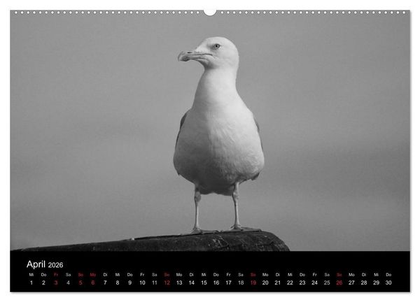 Produktbild: Willkommen in Cuxhaven (Wandkalender 2026 DIN A2 quer), CALVENDO Monatskalender
