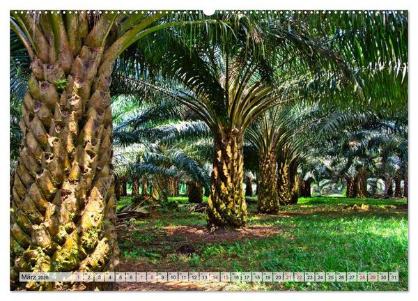 Produktbild: S&atilde;o Tom&eacute; - Inselparadies am &Auml;quator (Wandkalender 2026 DIN A2 quer), CALVENDO Monatskalender