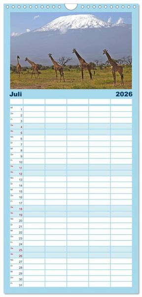 Produktbild: Familienplaner 2026 - Giraffen - Sanftheit und Anmut mit 5 Spalten (Wandkalender, 21 x 45 cm) CALVENDO