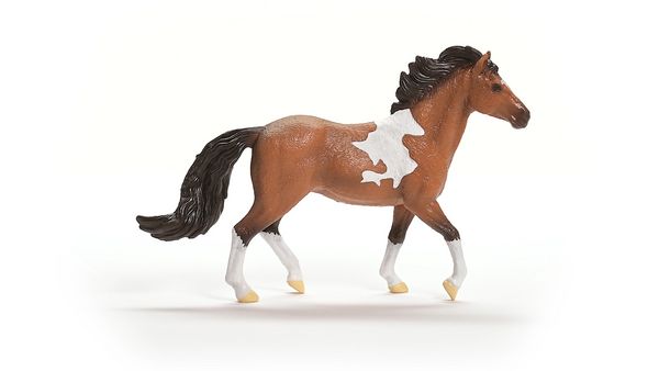 Produktbild: schleich&reg; Horse Club Mangalarga Marchador Hengst 11,3cm