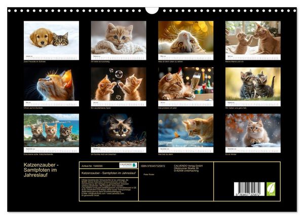 Produktbild: Katzenzauber - Samtpfoten im Jahreslauf (Wandkalender 2026 DIN A3 quer), CALVENDO Monatskalender
