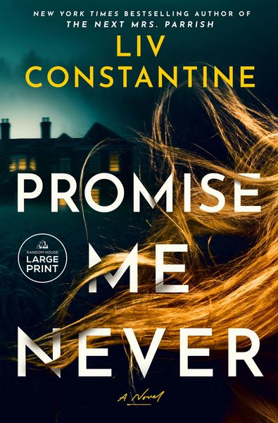 Produktbild: Promise Me Never