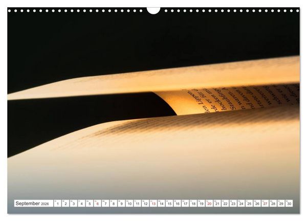 Produktbild: Ars Libri - Kunstwerk Buch (Wandkalender 2026 DIN A3 quer), CALVENDO Monatskalender