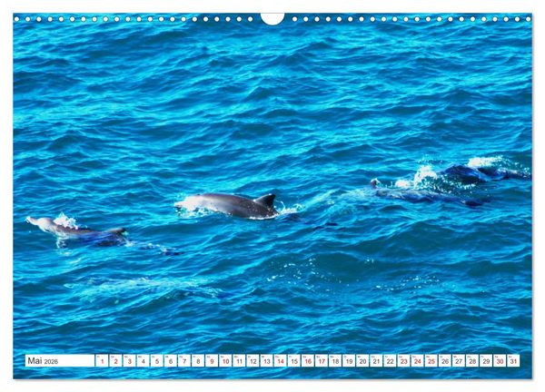 Produktbild: K&uuml;stenparadies - Noosa Nationalpark Australien (Wandkalender 2026 DIN A3 quer), CALVENDO Monatskalender