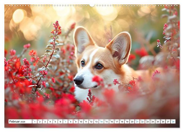 Produktbild: Happy Corgis (Wandkalender 2026 DIN A2 quer), CALVENDO Monatskalender
