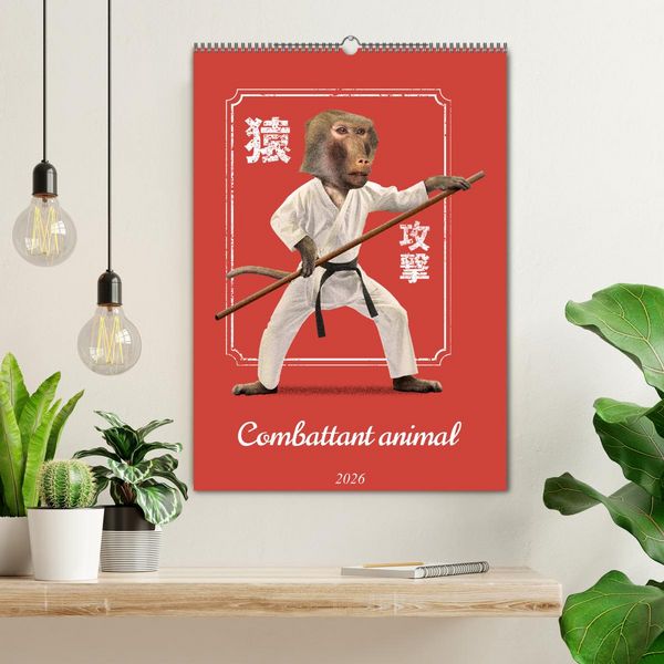 Produktbild: Combattant animal (Calendrier mural 2026 DIN A2 horizontal), CALVENDO calendrier mensuel