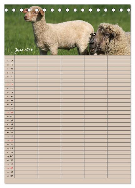 Produktbild: Der bel&auml;mmerte Familienplaner (Tischkalender 2026 DIN A5 hoch), CALVENDO Monatskalender