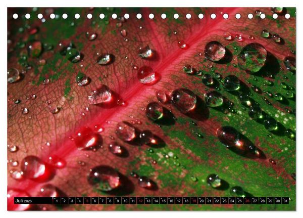 Produktbild: Wassertropfen - Diamanten des Lebens (Tischkalender 2026 DIN A5 quer), CALVENDO Monatskalender