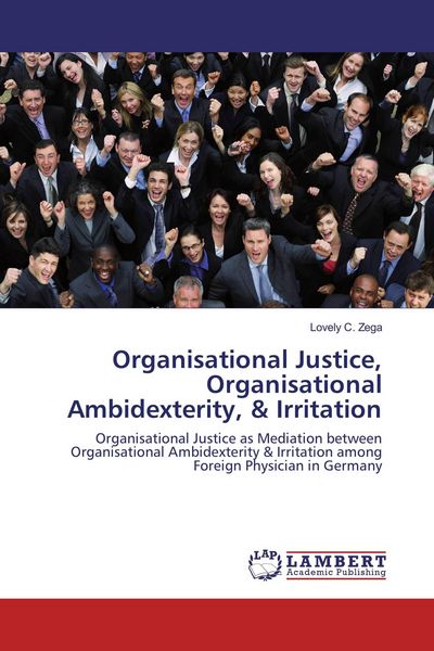 Produktbild: Organisational Justice, Organisational Ambidexterity, & Irritation
