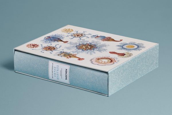 Produktbild: The Art and Science of Ernst Haeckel