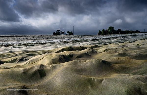 Produktbild: Bretagne