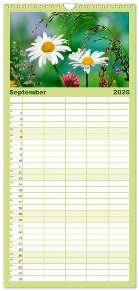 Produktbild: Familienplaner 2026 - Wildblumen 2026 mit 5 Spalten (Wandkalender, 21 x 45 cm) CALVENDO
