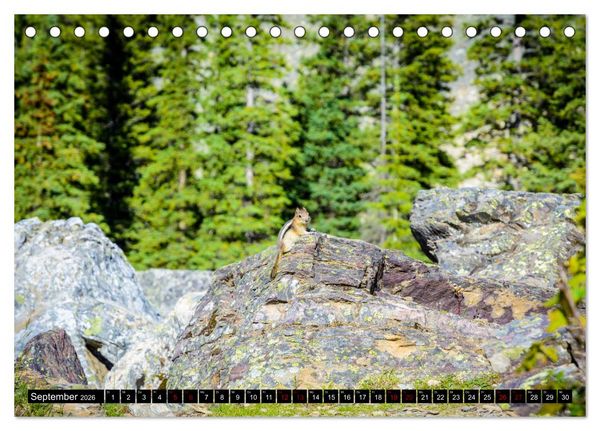 Produktbild: Kanadas Rocky Mountains (Tischkalender 2026 DIN A5 quer), CALVENDO Monatskalender