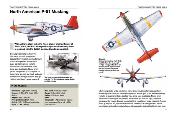Produktbild: Fighter Aircraft of World War II