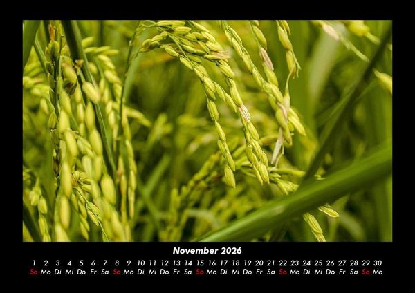 Produktbild: Bilder aus der Natur 2026 Fotokalender DIN A3
