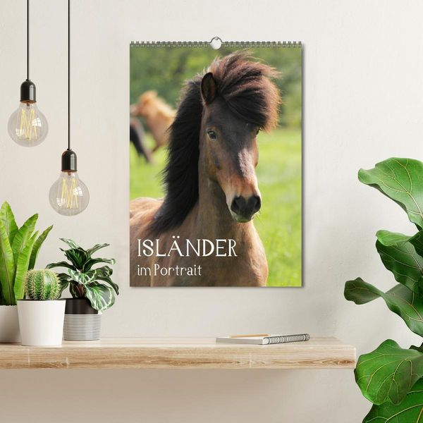 Produktbild: Isl&auml;nder im Portrait (Wandkalender 2026 DIN A3 hoch), CALVENDO Monatskalender