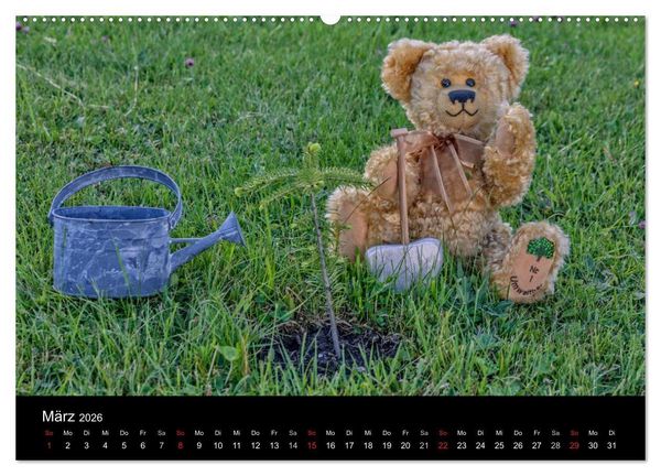 Produktbild: Martin B&auml;ren (hochwertiger Premium Wandkalender 2026 DIN A2 quer), Kunstdruck in Hochglanz