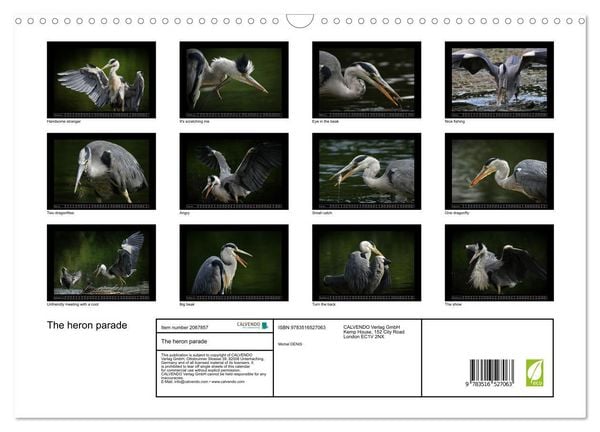 Produktbild: The heron parade (Wall Calendar 2026 DIN A3 landscape), CALVENDO 12 Month Wall Calendar