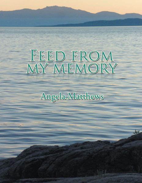 Produktbild: Feed from My Memory