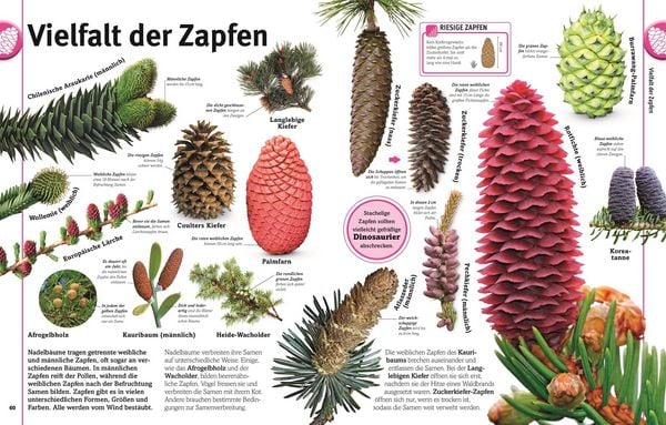 Produktbild: Unsere Welt in 1000 Bildern. Pflanzen