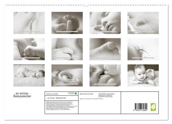 Produktbild: ...so winzig - Babykalender (hochwertiger Premium Wandkalender 2026 DIN A2 quer), Kunstdruck in Hochglanz