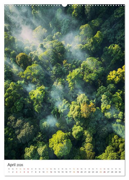 Produktbild: Magie der Natur (hochwertiger Premium Wandkalender 2026 DIN A2 hoch), Kunstdruck in Hochglanz