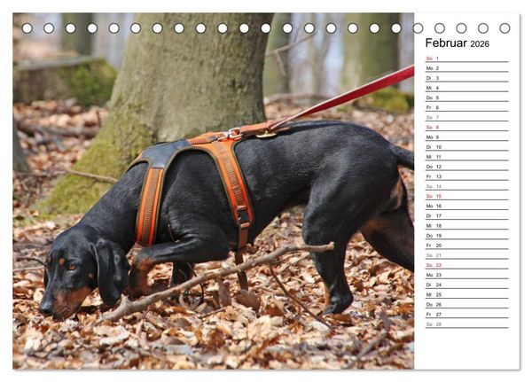 Produktbild: Der Brandlbracken-Terminplaner (Tischkalender 2026 DIN A5 quer), CALVENDO Monatskalender