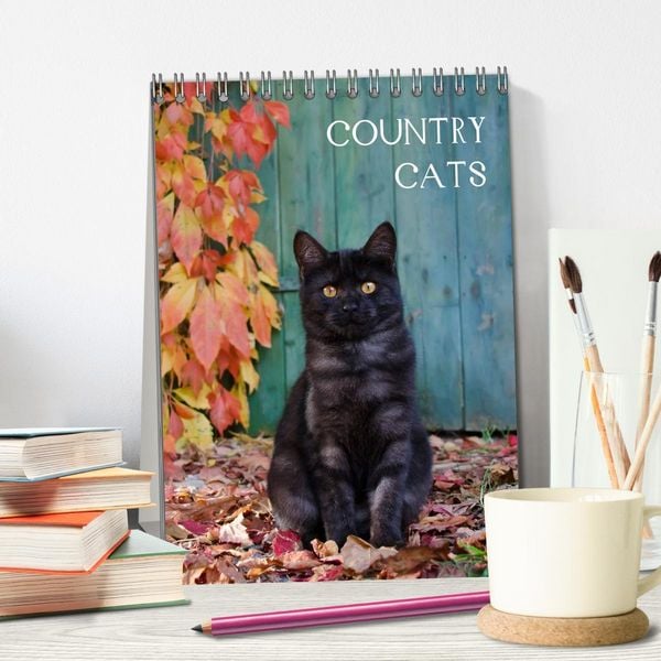 Produktbild: COUNTRY CATS (Tischkalender 2026 DIN A5 hoch), CALVENDO Monatskalender