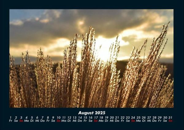 Produktbild: Bilder der Natur 2025 Fotokalender DIN A4