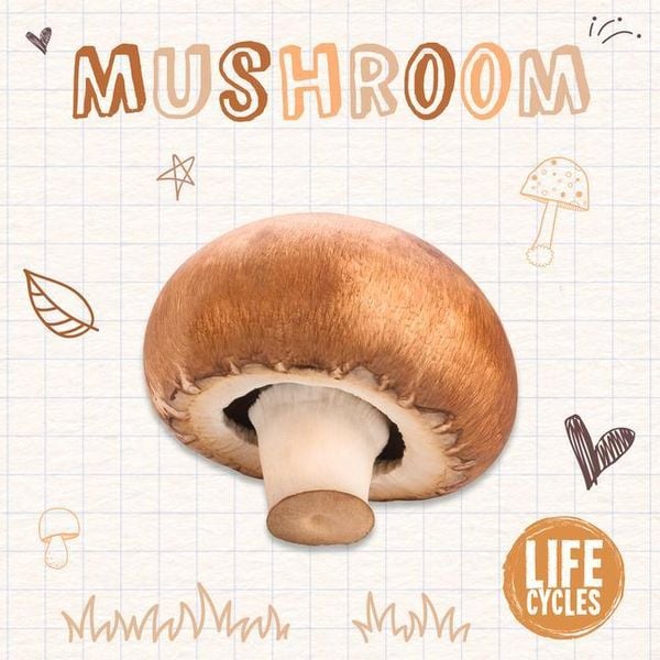 Mushroom, Taschenbuch von Brenda McHale, BookLife Publishing, 978-1-83927-157-1