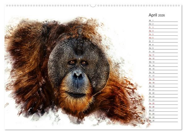 Produktbild: Tierportraits - Fine Art (hochwertiger Premium Wandkalender 2026 DIN A2 quer), Kunstdruck in Hochglanz