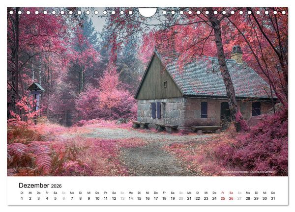 Produktbild: Die Lausitz durch den Infrarotfilter (Wandkalender 2026 DIN A4 quer), CALVENDO Monatskalender