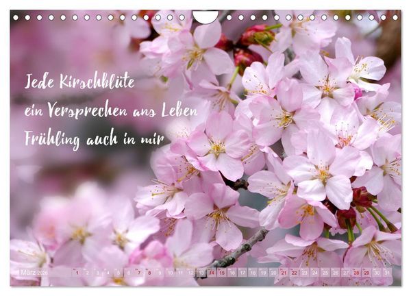 Produktbild: Haiku Poesie in Wort und Bild (Wandkalender 2026 DIN A4 quer), CALVENDO Monatskalender