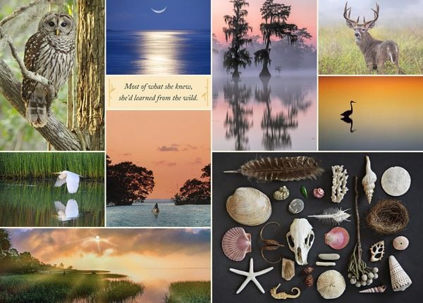 Produktbild: Where the Crawdads Sing 1000-Piece Puzzle