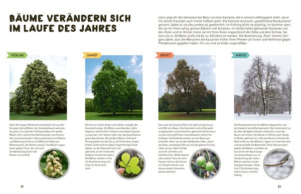 Produktbild: Julius forscht - Im Wald