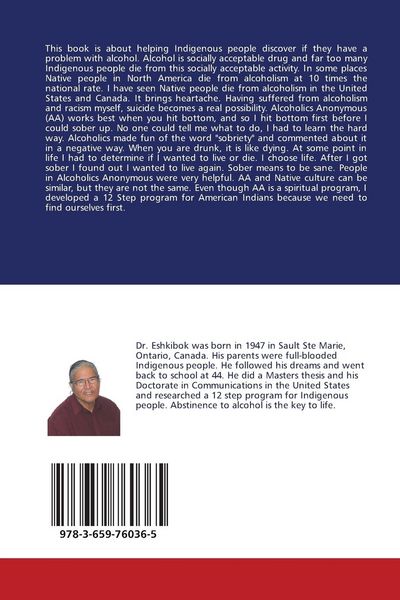 Produktbild: The Indigenous 12 Steps to sobriety