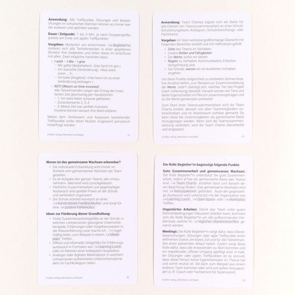 Produktbild: Schulen agil entwickeln