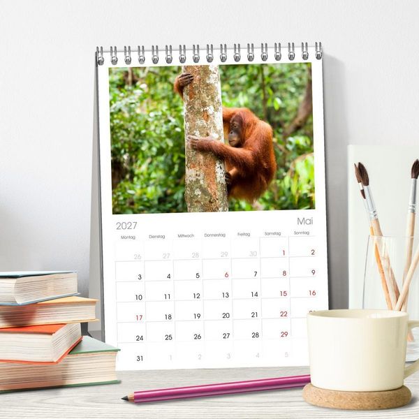 Produktbild: Tischplaner 2027 - Orang-Utans - Menschen des Regenwaldes (A5 Tischkalender zum Aufstellen) CALVENDO