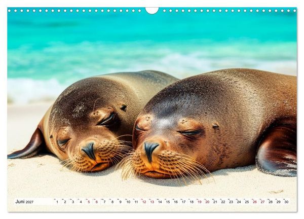 Produktbild: Faszination Robben - Zwischen Wellen und Weite (Wandkalender 2027 DIN A3 quer), CALVENDO Monatskalender