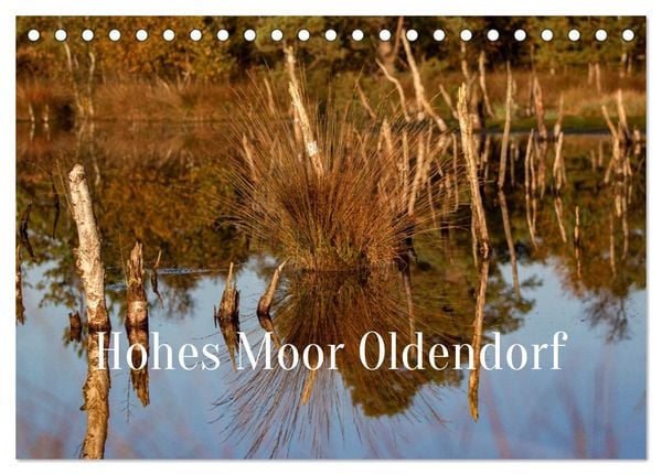 Hohes Moor Oldendorf (Tischkalender 2025 DIN A5 quer), CALVENDO Monatskalender