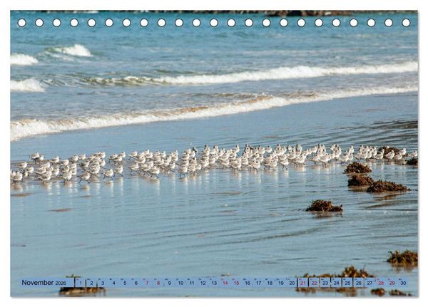 Produktbild: Bretagne und Normandie - Vor der Flut beobachten und entdecken (Tischkalender 2026 DIN A5 quer), CALVENDO Monatskalender