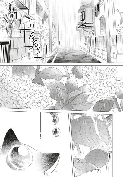 Produktbild: Fairy Cat 1