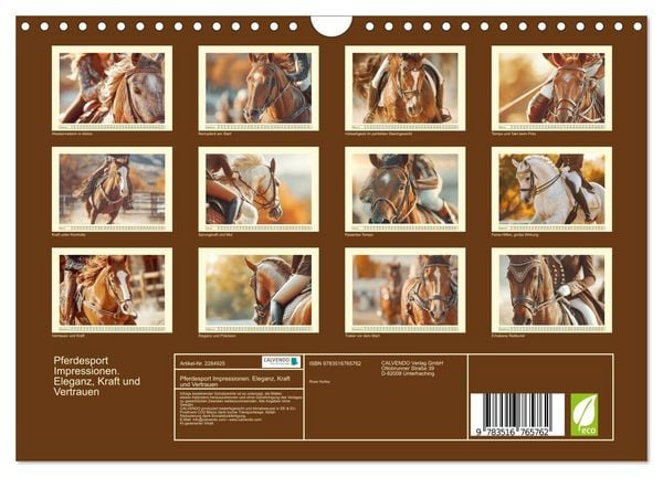 Produktbild: Pferdesport Impressionen. Eleganz, Kraft und Vertrauen (Wandkalender 2027 DIN A4 quer), CALVENDO Monatskalender