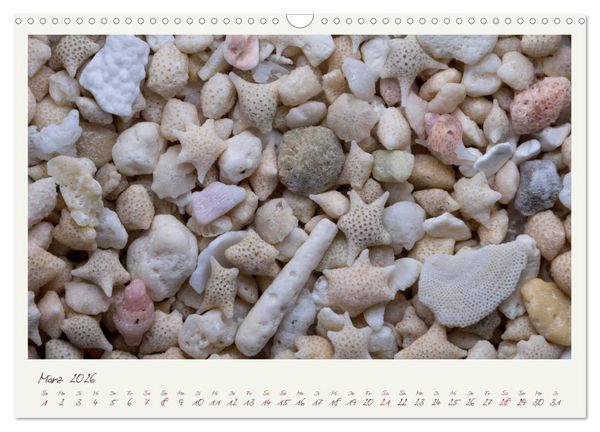 Produktbild: Abenteuer Mikrofotografie Sand (Wandkalender 2026 DIN A3 quer), CALVENDO Monatskalender