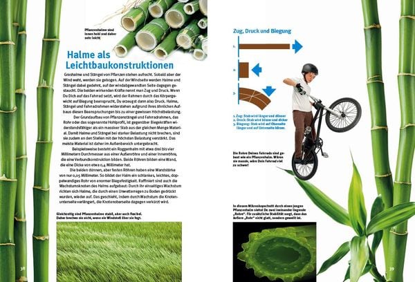 Produktbild: Entdecke die Bionik