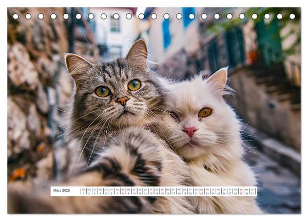Produktbild: Tier Selfies (Tischkalender 2026 DIN A5 quer), CALVENDO Monatskalender