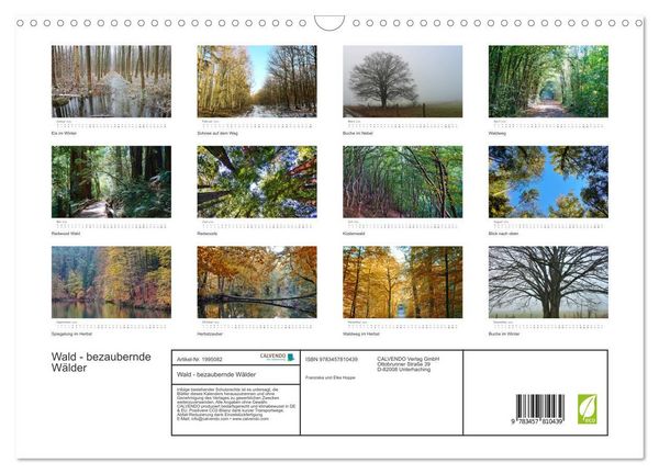 Produktbild: Wald - bezaubernde W&auml;lder (Wandkalender 2026 DIN A3 quer), CALVENDO Monatskalender