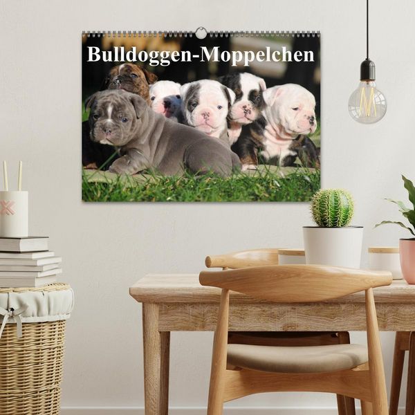 Produktbild: Bulldoggen-Moppelchen (Wandkalender 2026 DIN A3 quer), CALVENDO Monatskalender