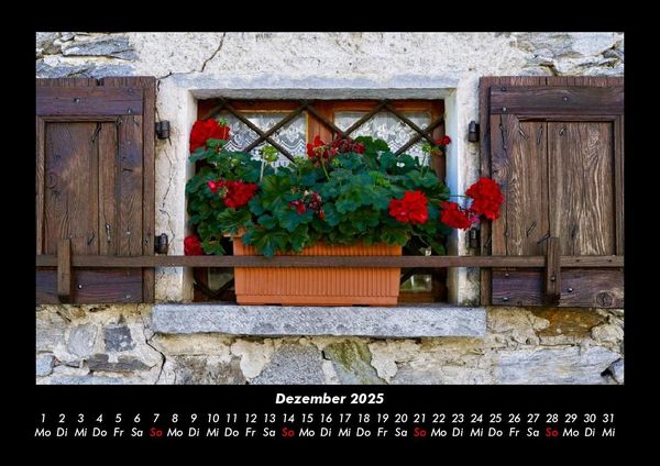 Produktbild: Blumentr&auml;ume 2025 Fotokalender DIN A3