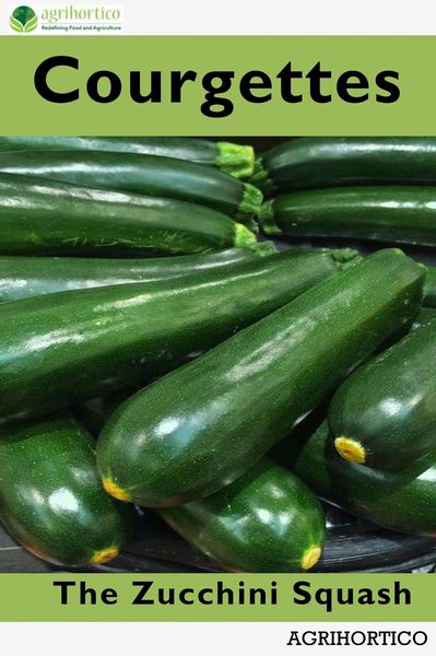 Produktbild: Courgettes: The Zucchini Squash